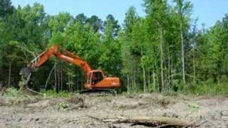 Daewoo Excavator Clearing Trees