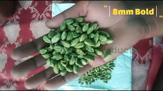 green cardamom 8mm bold| aviyan food products | kerala green cardamom