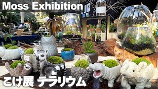 【こけ展】人気の作家の作品が集結！苔テラリウムから苔盆栽など【園芸】【ガーデニング】