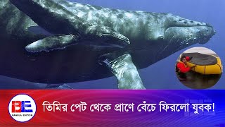 অবিশ্বাস্যভাবে তিমির পেট থেকে জীবিত অবস্থায় ফিরলো যুবক! | Bangla Edition