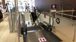 【京都市 南区】イオンモールKyoto Sakura館 センターコート エスカレーターに乗ってみた！（三菱製／4F→1F）