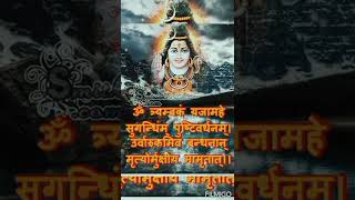 #maha Mrityunjay Mantra 🕉️ One of the Most Powerful Shiv Mantras 🔱 Spiritual Synergy