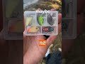 are temu fishing lures worth it fishing