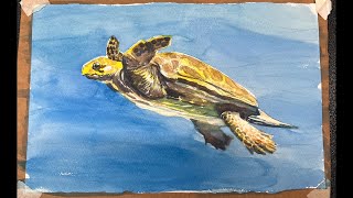 Watercolor Wednesday: Turtles!