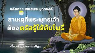 อดีตกรรมของพระพุทธเจ้า | สาเหตุที่พระพุทธเจ้าต้องตรัสรู้ใต้ต้นโพธิ์ | เรื่องเล่าจากพระไตรปิฎก