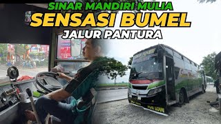 RAJA JALANAN PANTURA ‼️ ATUR STRATEGI, AUTO FULL PENUMPANG | trip sinar mandiri mulia Tuban Surabaya