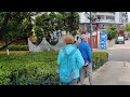 昆明盘龙江盛开蓝花楹，美景吸引美女们来拍写真。大家觉得怎么美吗？