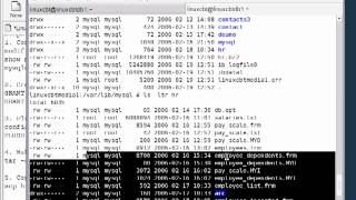 34 Mysql Database Replication