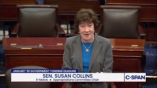 Sen. Collins on DHS Funding