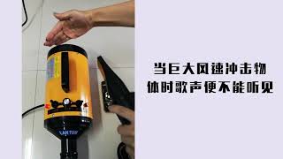 110V 藍豚寵物吹水機貓咪專用大功率靜音狗狗吹風機大型犬吹毛烘幹神器