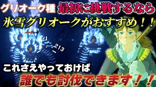 【ティアキン攻略】序盤で討伐するなら「氷雪グリオーク」誰でも安定して倒す方法と出現場所【ティアーズオブザキングダム】