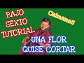 Una Flor Quise Cortar - Caimanes de Sinaloa (TABS Bajo Sexto Tutorial)