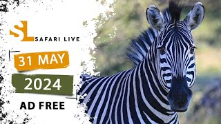 SafariLIVE Sunset - 31 May 2024 -  AD FREE