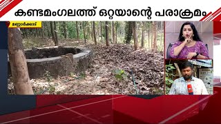 മണ്ണാർക്കാട് ഒറ്റയാന്റെ പരാക്രമം; പ്രദേശത്ത് വൻ കൃഷി നാശം  | Palakkad