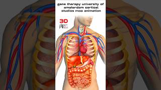 gene therapy university of amsterdam cortical studios moa animation |#3d #short