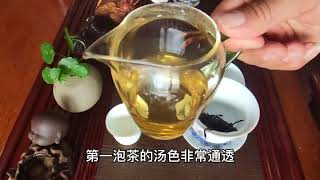 再给茶友们拍视频素材的时候，意外发现了“茶树菇”大家说能吃吗