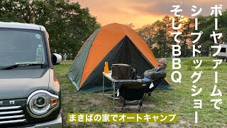 【北海道キャンプ】十勝まきばの家&シープドッグショー！