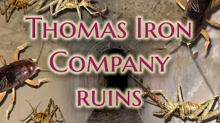 Abandoned Thomas Iron Ruins (Coplay Ruins). Part 1. Crickets attack!