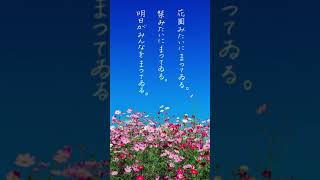 【声優朗読】詩・新美南吉『明日』by 疋田由香里（ゆかりりか）［字幕付き］