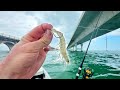 Fishing the 7 Mile for a Quick Bite!!! Florida Keys Kayak Fishing!