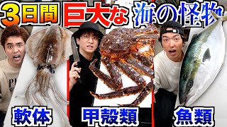 【3日間】『カニvsイカvsブリ』巨大な”軟体 甲殻類 魚類\