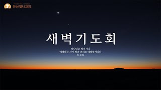 2025.1.28. 안산빛나교회 새벽예배 ㅣ욥 30:1~15 ㅣ 하나님이 곤고하게 만드셨기에ㅣ장원석 목사