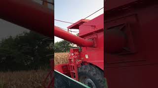 Dasmesh 9100 Maize Harvester #punjabi #Harvester