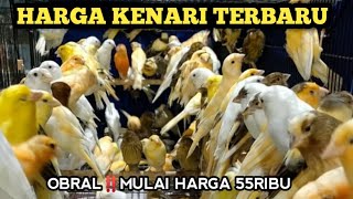 OBRAL‼️HARGA KENARI TERBARU, GROSIR KENARI #grosirkenari #hargakenari #hargakenariterbaru #kenari