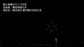 2011 全国新作花火競技大会　「海と奇跡のサンゴの花」