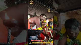 கள்ளபட்டி || மலைச்சாமி கோவில் || மாலையனிந்து பத்தர்கள் || தரிசனம் | கள்ளபட்டியன்