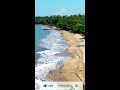 beach ocean with palm tree water wave palm sea side view short video afzal tanoli voice