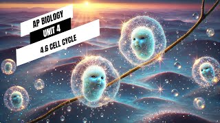 AP Biology UNIT 4 Cell Cycle 4.6 Mitosis (Don't Miss Out) Review