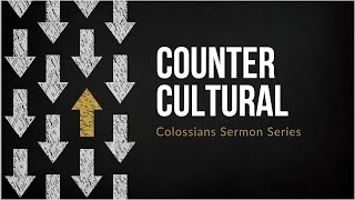 Counter Culture // New Freedom // Paul Gazdik
