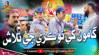 Gamoo Khe Nokri Ji Talash | Asif Pahore (Gamoo) | Sajjad Makhni | New Gamoo Video | Comedy Funny