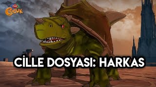 Cille Dosyası: Harkas