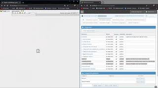 Mantis BT and Testlink - Desarrollo del Trabajo