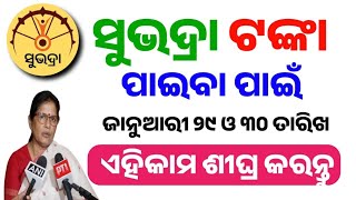 ସୁଭଦ୍ରା ଟଙ୍କା ପାଇବା ପାଇଁ ୨୯/ ୩୦ ତାରିଖ ଏହିକାମ କରନ୍ତୁ!Subhadra Yojana New Update!Subhadra Yojana