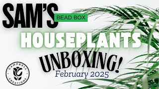 Sam's Bead Box | February 2025 | UNBOXING!!