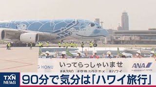 ANAのエアバスA380　ハワイ気分演出で夏の思い出（2020年8月22日）