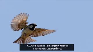 ALLAHA KÜSEN SERÇENİN İBRETLİK HİKAYESİ İYİ SEYİRLER....