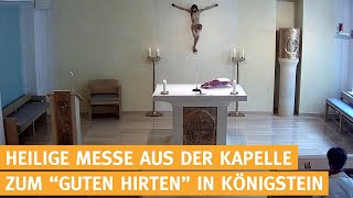 Live - Heilige Messe aus der Kapelle von Kirche in Not in Königstein/Taunus - 17.01.2025