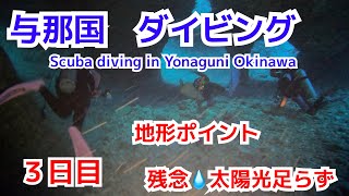 【4K GoPro】スキューバダイビング　与那国4日間（UnderWater in Yonaguni Okinawa)