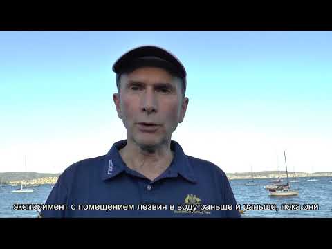 How to Improve the Catch in 10 mins Russian How to Improve the Catch in 10 mins Russian