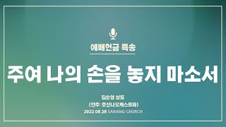 [사랑의교회] 주여 나의 손을 놓지 마소서 - 김순영 성도 (연주: 호산나오케스트라)