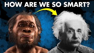 Every Theory of Human Intelligence Explained