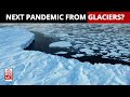 The Next Pandemic Could Come From The Arctic. Here's Why