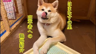 はまなすの里　高卒者への職場紹介動画です。