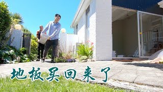 地板买回来了(新西兰 Harold Vlog 423)