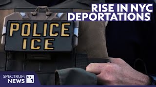 NYC ICE arrests under Trump's return already top 2024, data shows