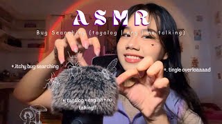 ASMR | Bug Searching [ English, Tagalog \u0026 No Talking ] 🇵🇭